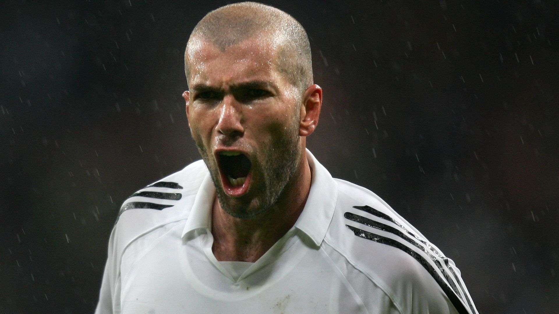 感联结上 感联结上